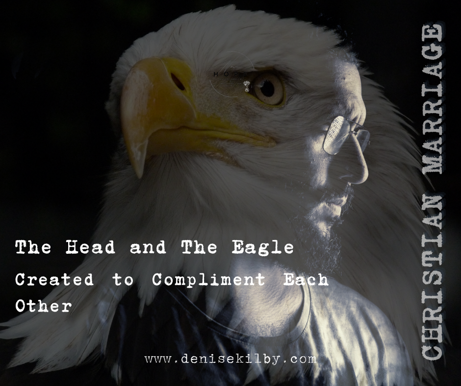 Created to Compliment Each Other