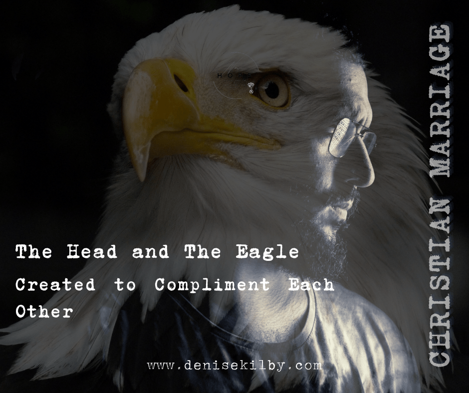 Created to Compliment Each&nbsp;Other