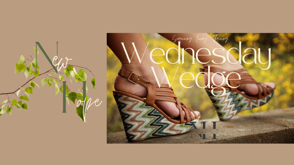 Wednesday Wedge