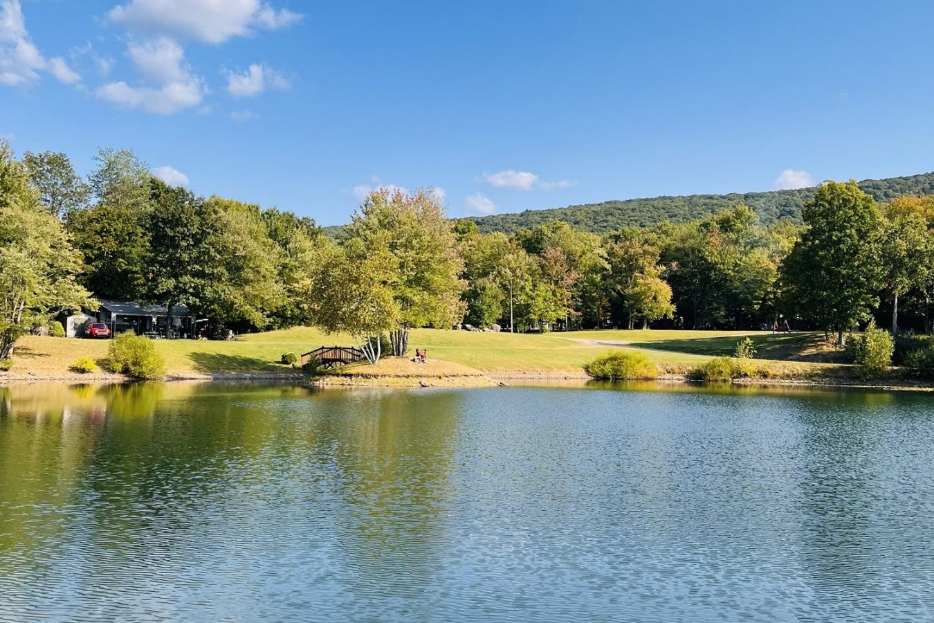 Living Without Perfect Clarity