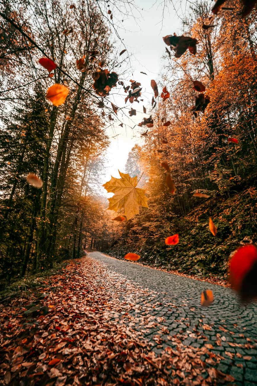 Integrity Lives in The Courage to Say The Truth